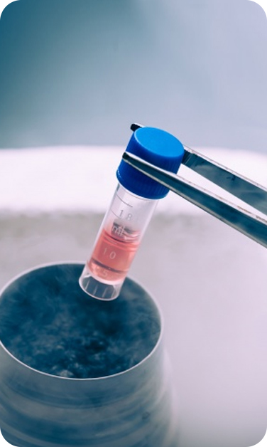 FertLife Clinic - Congelamento de óvulos