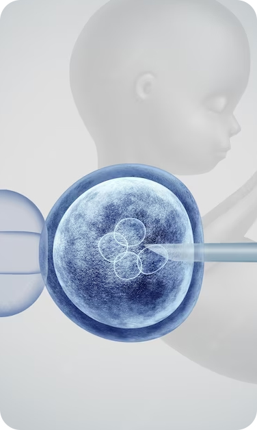 FertLife Clinic - Fertilização in vitro
