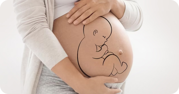 FertLife Clinic - Plasma Rico em Plaquetas